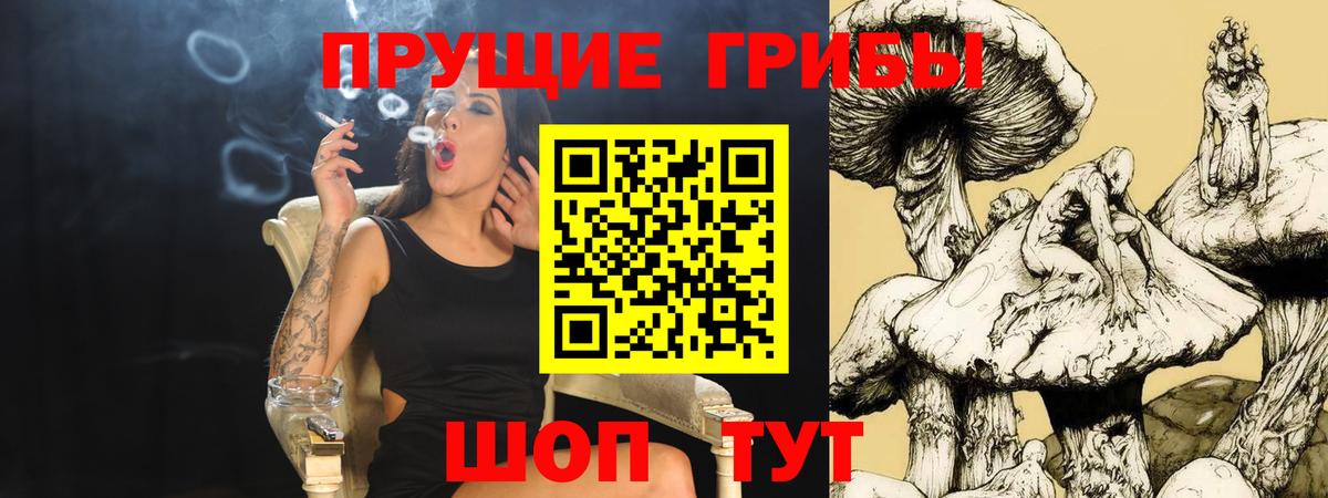 Псилоцибиновые грибы ЛСД Выборг