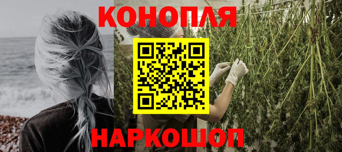 Шишки марихуана конопля  Вход с VPN  Выборг  Конопля сатива  Бошки Шишки Ganja 
